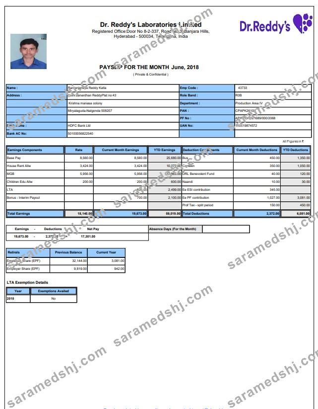 laboratory payslip Word and PDF template